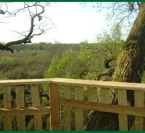 Cabane dans les arbres avec vue sur la nature verdoyante du Centre.