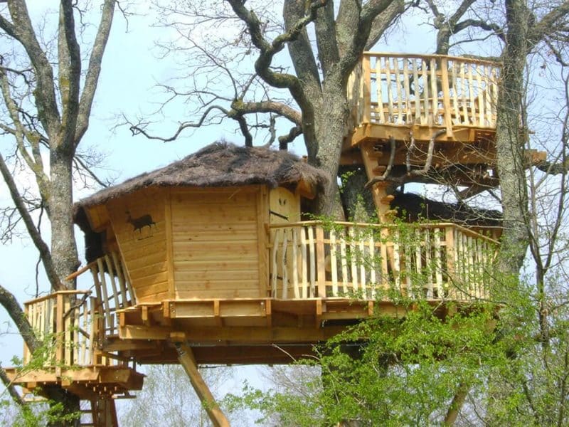 Cabane dans les arbres en bois, perchée avec balcons et vue sur la nature.