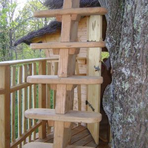 Cabane perchée dans un arbre, avec une échelle en bois et un accès charmant.