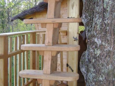 Cabane perchée dans un arbre, avec une échelle en bois et un accès charmant.