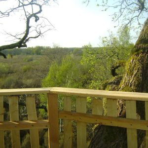 Cabane dans les arbres avec vue panoramique sur la nature environnante.