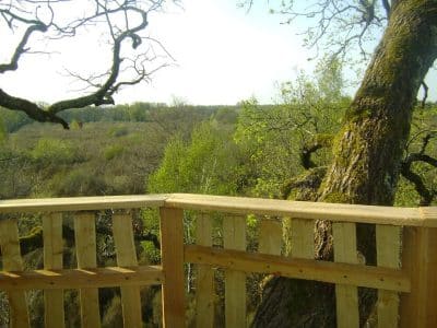 Cabane dans les arbres avec vue panoramique sur la nature environnante.
