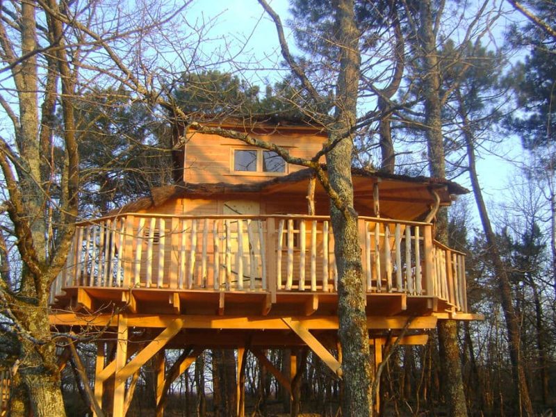 Cabane perchée en bois, entourée darbres, avec une terrasse ensoleillée.