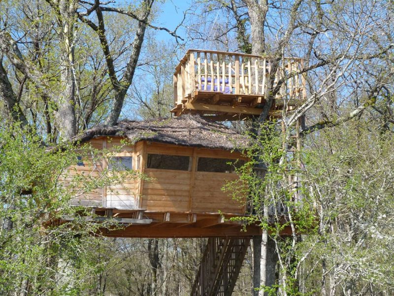 Cabane dans les arbres avec terrasse en bois, entourée de verdure luxuriante.