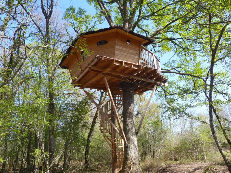 Cabane perchée en bois, nichée dans les arbres, entourée de verdure luxuriante.