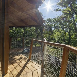 Cabane perchée en bois, vue panoramique sur la forêt verdoyante.