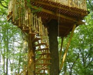 Cabane dans les arbres, perchée avec un escalier en colimaçon, entourée de verdure.