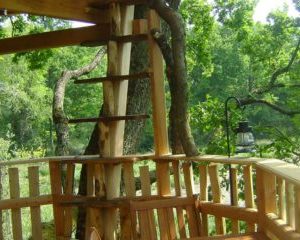 Cabane dans les arbres avec échelle en bois, entourée de verdure luxuriante.