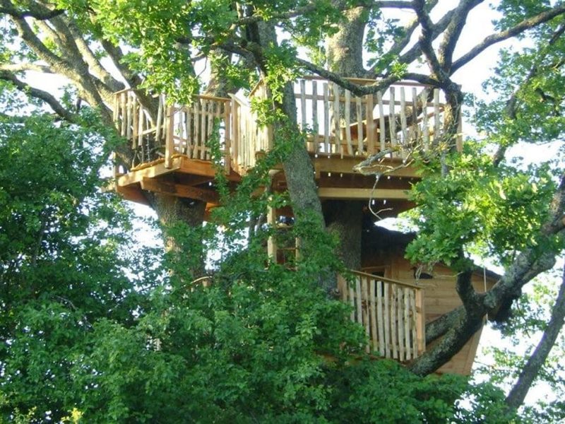 Cabane dans les arbres, perchée entre les feuillages verdoyants.