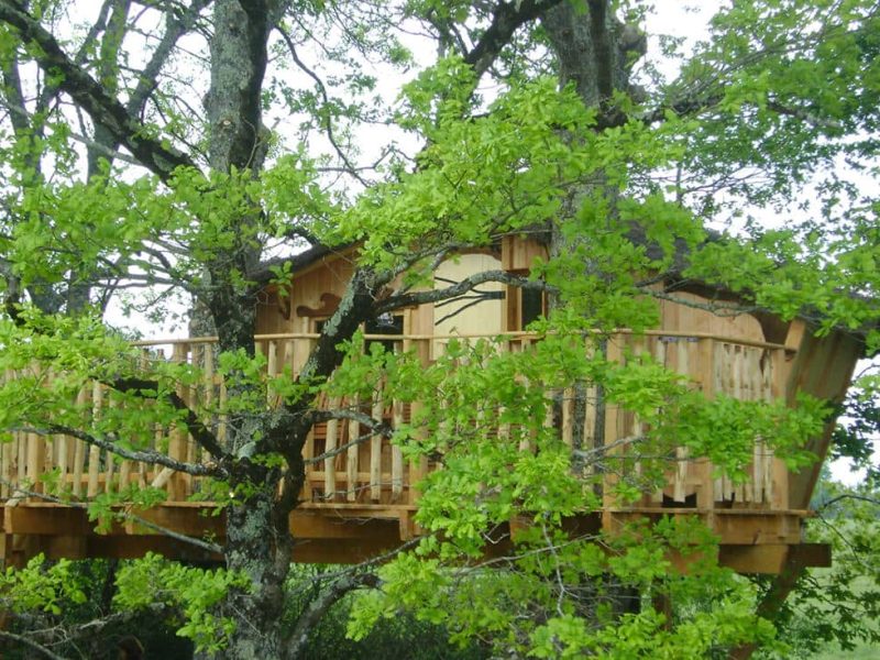 Cabane perchée dans un arbre, entourée de feuillage verdoyant et accueillant.