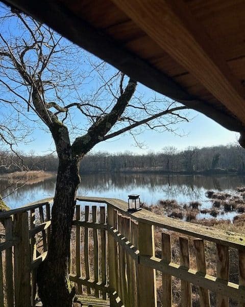 Cabane sur pilotis avec vue sur un lac paisible et des arbres environnants.