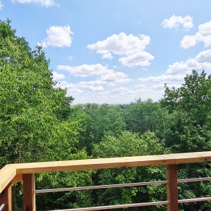 Cabane perchée en pleine nature, vue panoramique sur la forêt verdoyante.