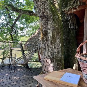 Cabane perchée en bois, avec chaises en osier et vue sur la nature environnante.