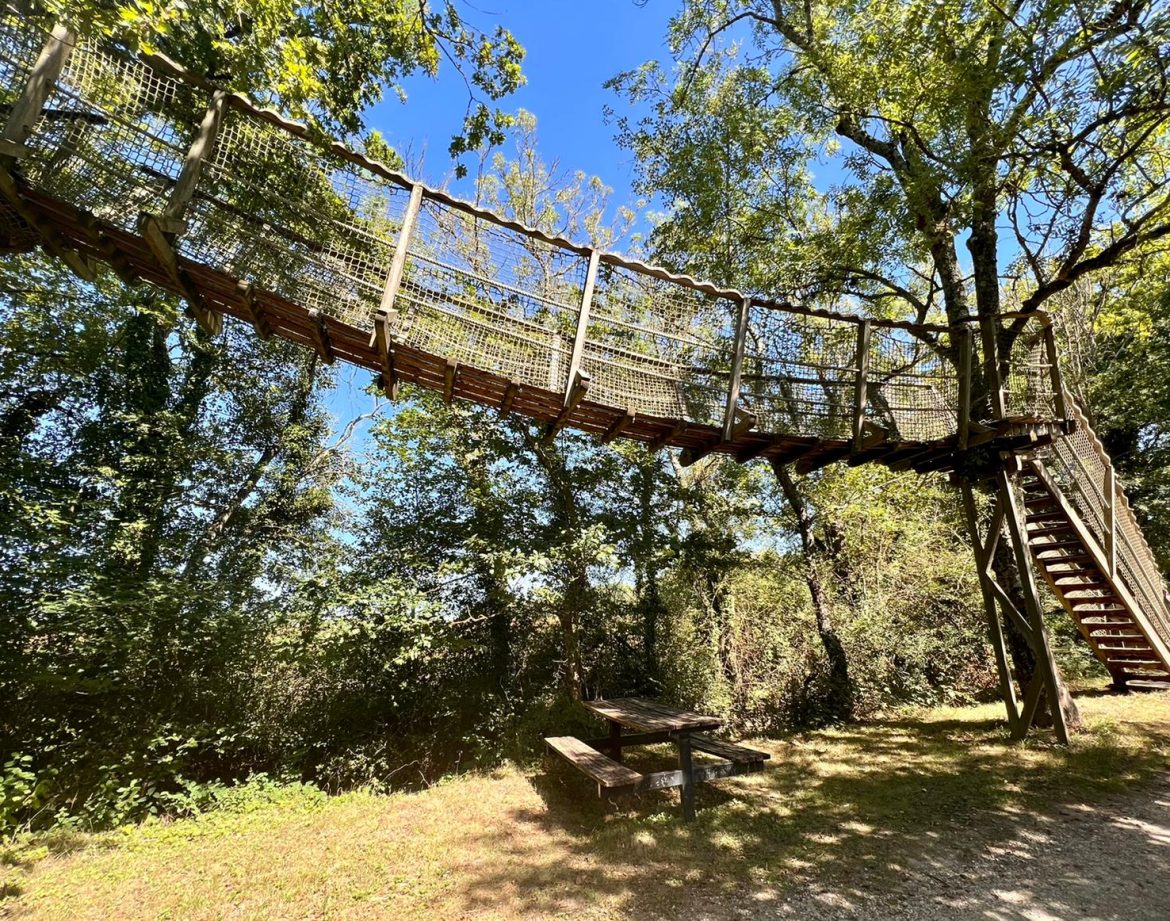 Cabane dans les arbres en Auvergne-Rhône-Alpes, avec passerelle suspendue et verdure.