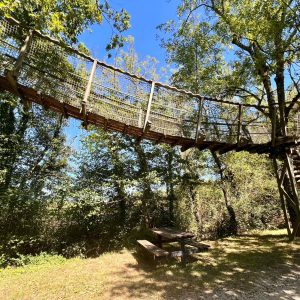 Cabane dans les arbres en Auvergne-Rhône-Alpes, avec passerelle suspendue et verdure.