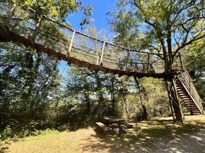 Cabane dans les arbres en Auvergne-Rhône-Alpes, avec passerelle suspendue et verdure.