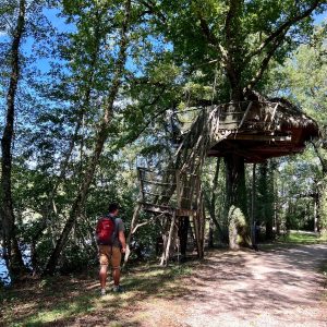 Cabane perchée dans les arbres, entourée de verdure près dun lac en Auvergne-Rhône-Alpes.