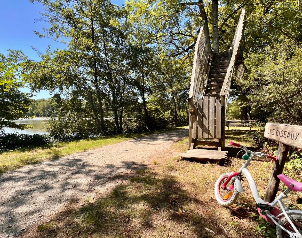Hébergement insolite en Auvergne-Rhône-Alpes, avec un toboggan en bois près dun lac.