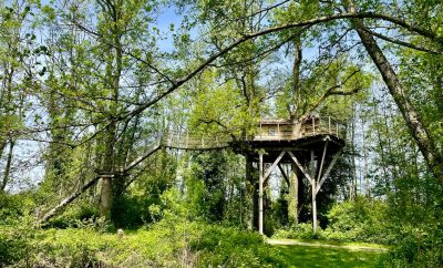 Cabane les Feuilles