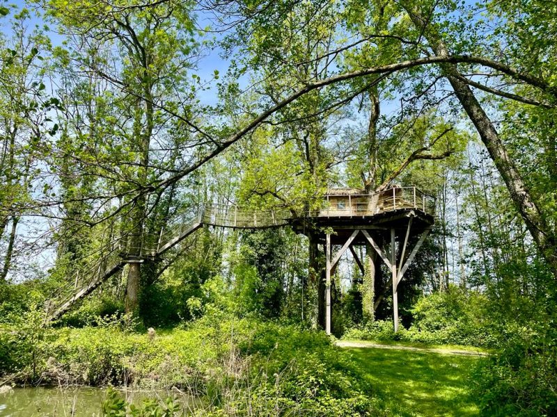 Cabane perchée dans les arbres, entourée de verdure luxuriante en Auvergne-Rhône-Alpes.