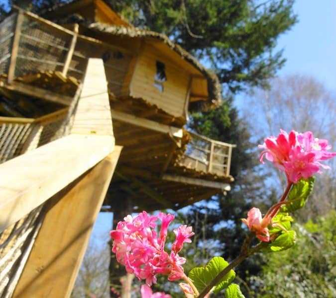 Cabane dans les arbres avec balcon, entourée de fleurs colorées au printemps.