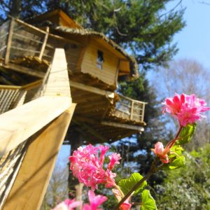 Cabane dans les arbres en Bretagne, perchée au milieu de fleurs colorées.