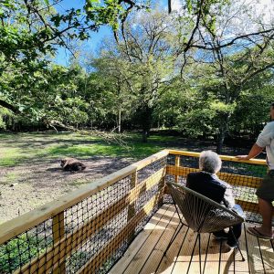Auvergne-Rhône-Alpes - Hébergement insolite