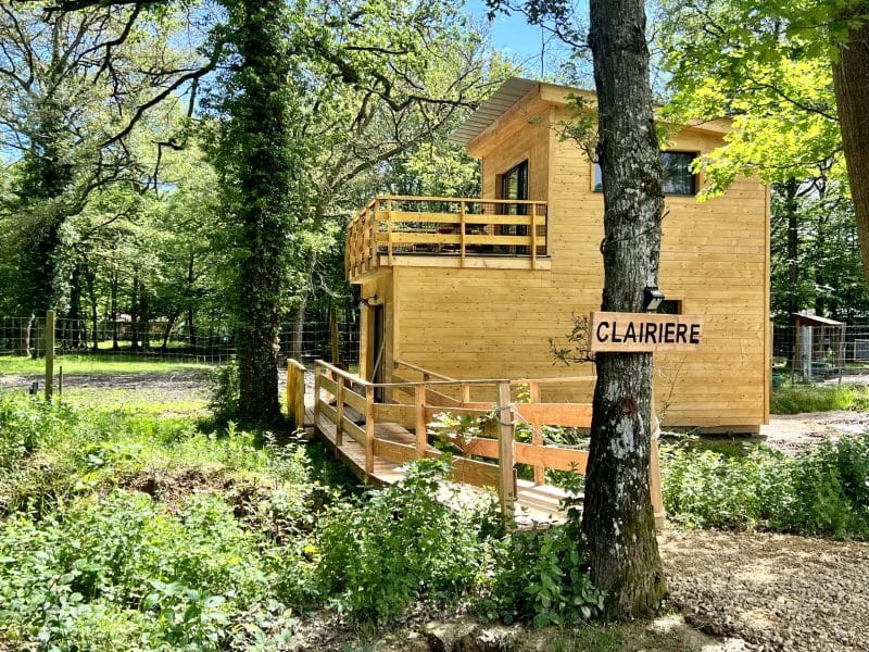 Cabane en bois perchée, entourée de verdure, avec une terrasse ensoleillée.