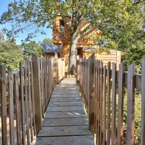 Cabane perchée en bois avec un pont en bois menant à un arbre majestueux.
