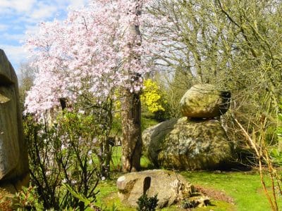 Hébergement insolite en Bretagne, avec des sculptures en bois et de grands rochers.