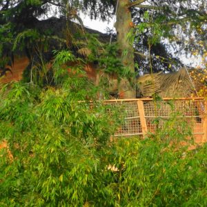 Cabane perchée en Bretagne, entourée de verdure et de bambous.