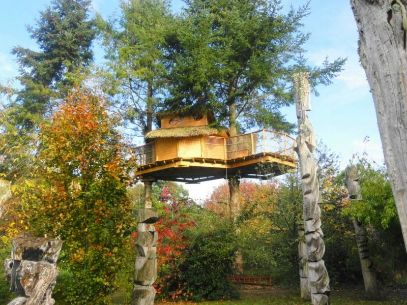 Cabane dans les arbres, perchée au milieu dune verdure colorée et apaisante.
