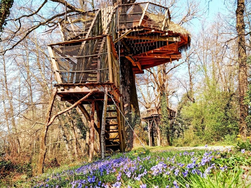 Cabane perchée dans les arbres, entourée de fleurs violettes et de verdure.