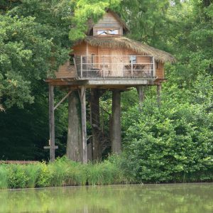 Cabane perchée en bois avec balcon, entourée de verdure et au bord dun étang.