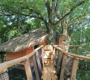 Cabane perchée dans les arbres, accès par une passerelle en bois, entourée de verdure.