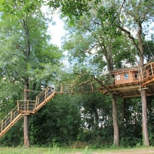Cabane perchée dans les arbres, entourée de verdure, offrant une vue panoramique.