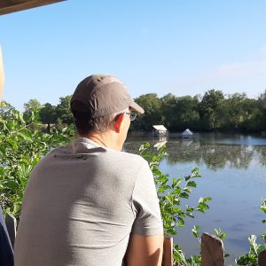 Vue paisible depuis un cabanon sur pilotis, surplombant un lac verdoyant.