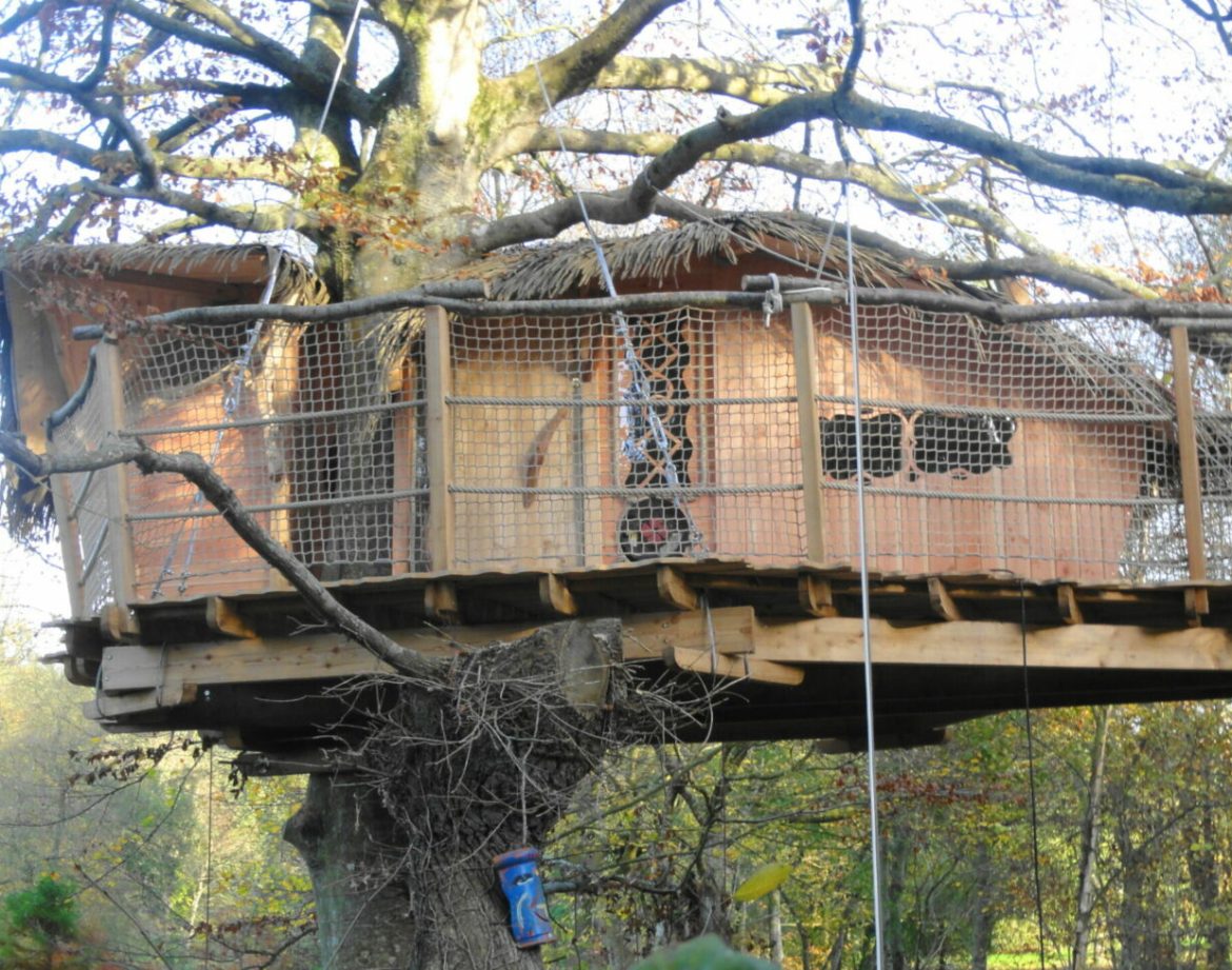 Cabane perchée dans un arbre en Bretagne, avec une terrasse en bois et vue sur la nature.