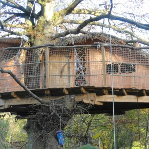 Cabane perchée dans un arbre en Bretagne, avec une terrasse en bois et vue sur la nature.