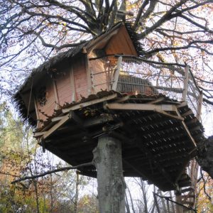 Cabane perchée dans un arbre en Bretagne, entourée de feuillage automnal.