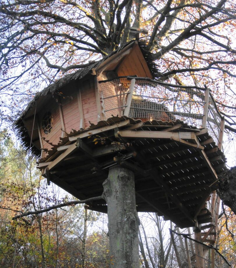 Cabane perchée dans un arbre en Bretagne, entourée de feuillage automnal.