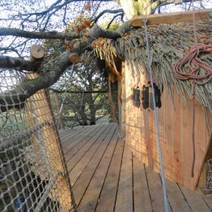 Cabane perchée en Bretagne, toit en chaume et terrasse en bois suspendue.