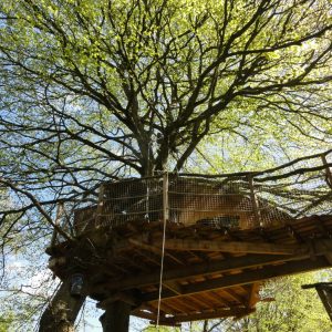 Cabane dans les arbres en Bretagne, perchée au cœur dun feuillage verdoyant.