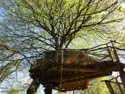 Cabane dans les arbres en Bretagne, perchée au cœur dun feuillage verdoyant.