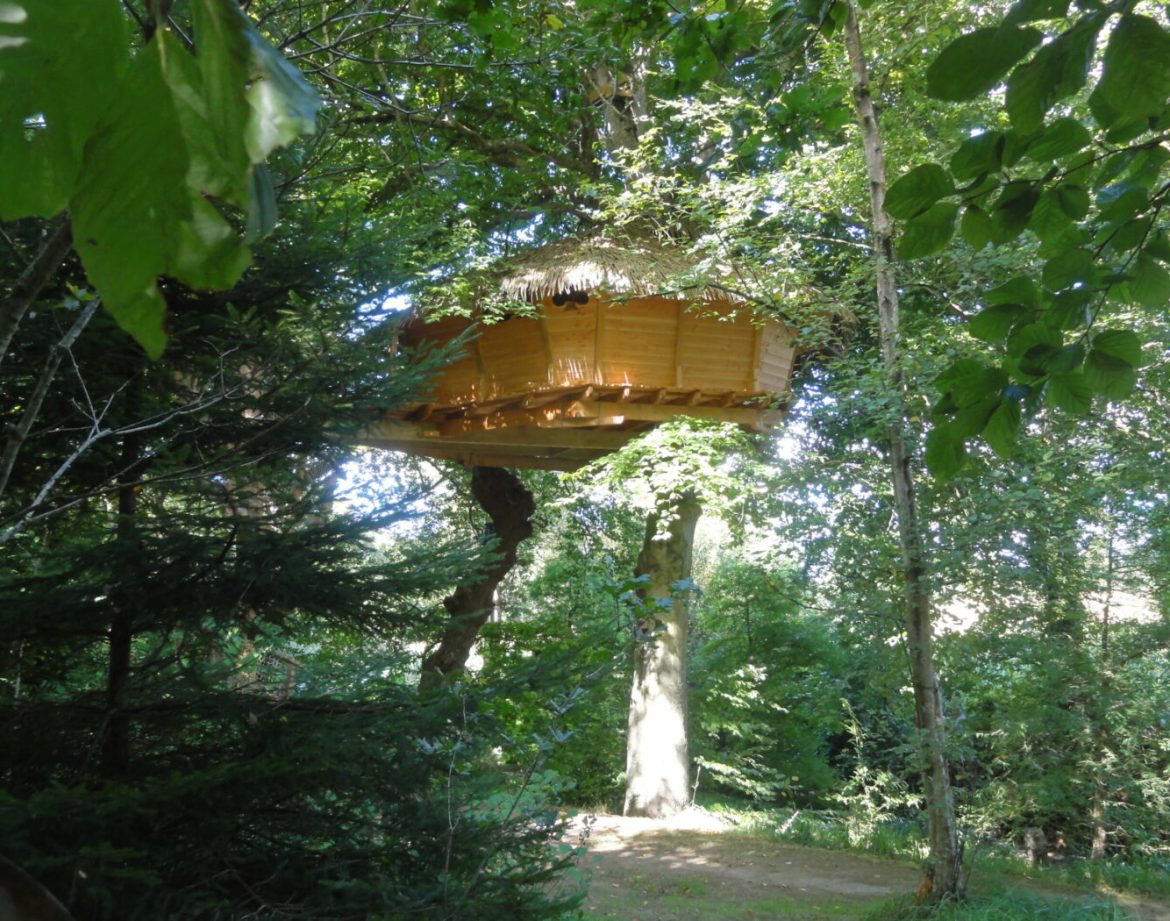 Cabane perchée dans les arbres en Bretagne, entourée de verdure luxuriante.
