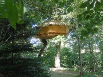 Cabane perchée dans les arbres en Bretagne, entourée de verdure luxuriante.