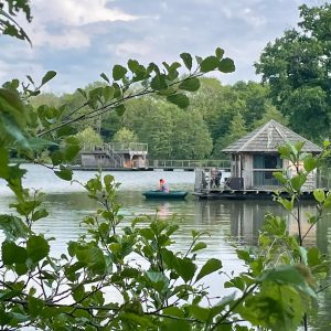 Cabane sur pilotis au bord dun lac, entourée de verdure luxuriante.