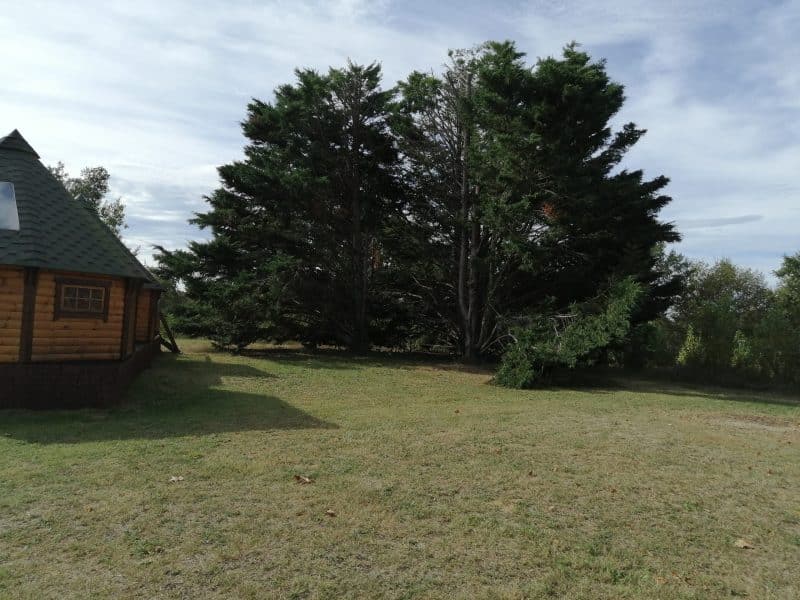 Chalet en bois entouré de grands arbres, situé dans un cadre naturel paisible.