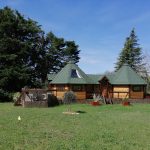 A L’ABRI DES CYPRES