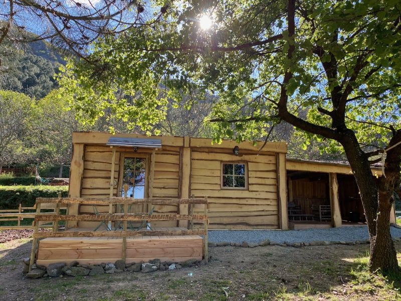 Cabane en bois entourée darbres, avec une terrasse en bois accueillante.